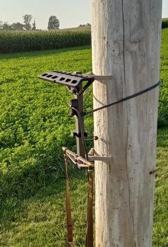 Crows Nest One Sticks 