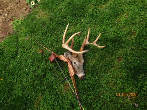Badger Longbow