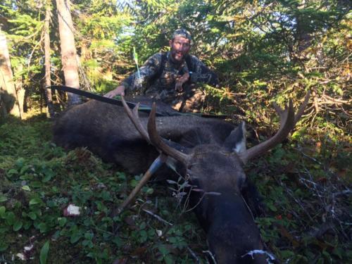 Nice Moose Scott