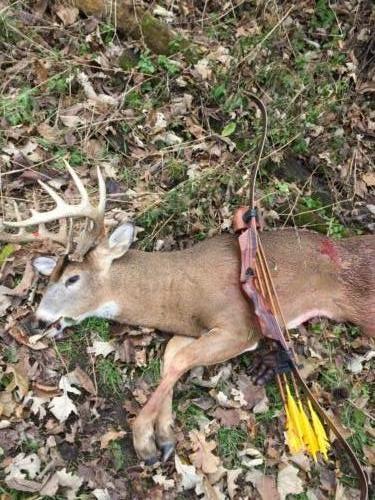 Congrats to Mike Preglaron - Some Nice Bucks